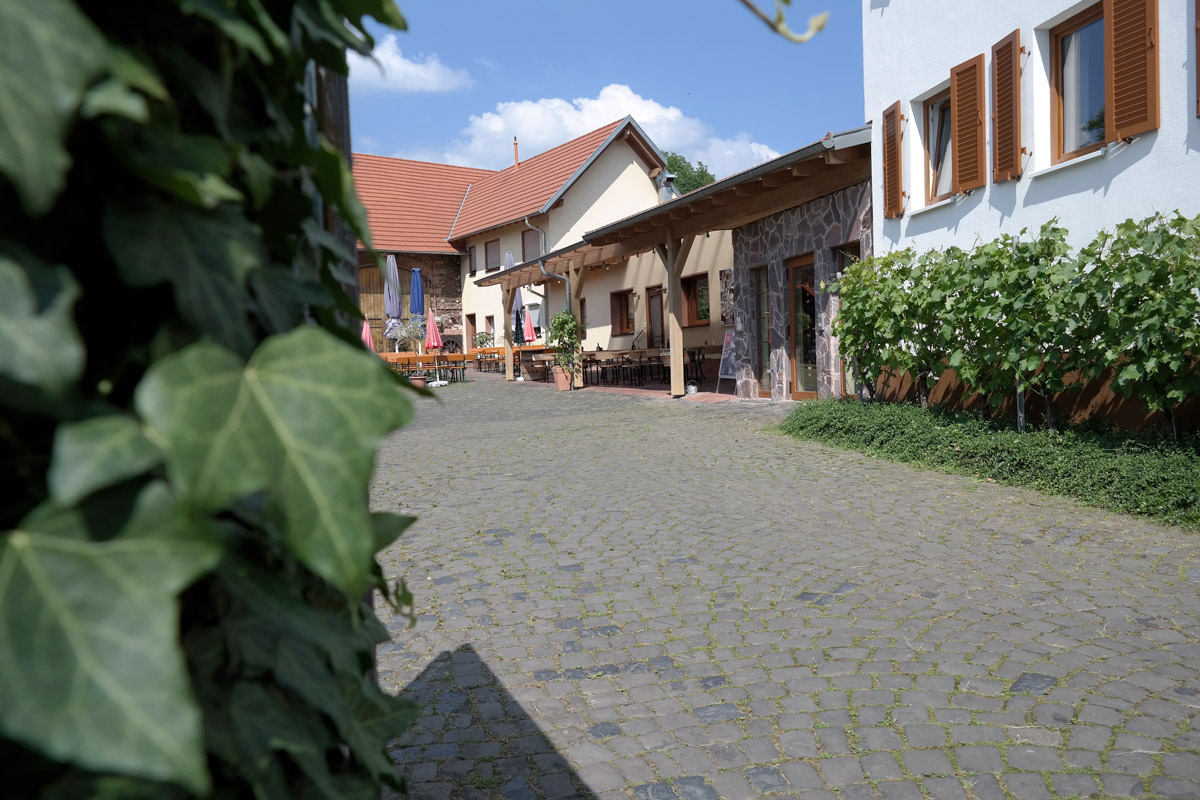 Weingut